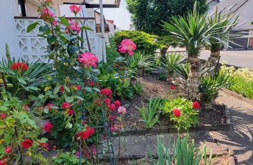 Dielheim Apartamento | urige gemütliche Ferienwohnung 64 m2 in Dielheim, Nähe Heidelberg
