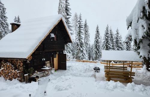 Diex Apartamento | Urige Waldbienenhütte