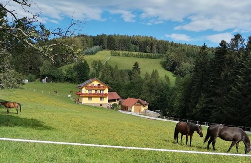 Sonnhofen Casa | Urlaub am Bauernhof, Familie Kitting