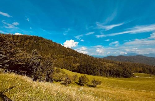 Bruckl Apartamento | Urlaub am Christofberg
