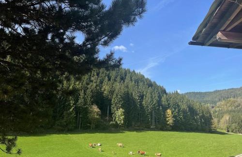 Bruckl Apartamento | Urlaub am Christofberg