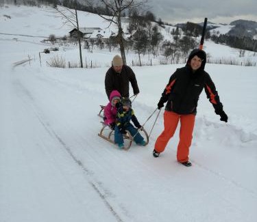 Sankt Anton an der Jessnitz Apartamento | Urlaub am Bauernhof Höbarten