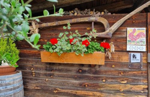 Caldaro Sulla Strada del Vino Apartamento | Urlaub auf dem Bauernhof Schmidhof - große Terrasse, Pool und beste Lage
