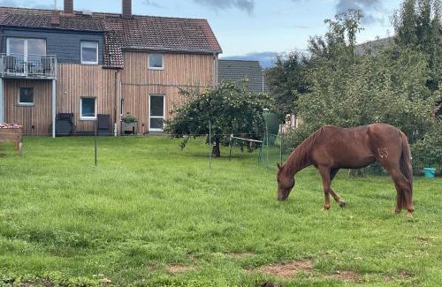 Feldberger Seenlandschaft Apartamento | Urlaub auf dem Land