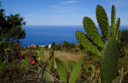 Tijarafe Complejo | Urlaub bei Freunden