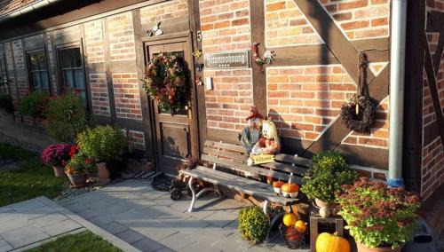 Basedow Apartamento | Urlaub im Fachwerkhaus