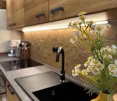 Sebnitz Apartamento | Urlaubsfreude Biedermann Haus Blumenglück - Gänseblümchen