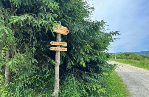 Bukowiec Chalet De Esquí | Urocza chata z sauną w bieszczadzkim Parku Krajobrazowym