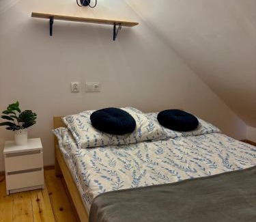Jacnia Complejo | Urocze Roztocze Jacnia - domek 2