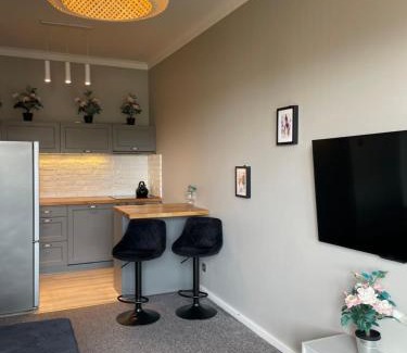 Baluty Apartamento | Uroczy apartament - Mackiewicza 5, Parking, Netflix