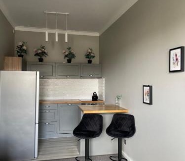 Baluty Apartamento | Uroczy apartament - Mackiewicza 5, Parking, Netflix