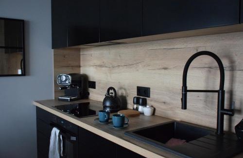 Stare Miasto District Apartamento | Uroczy apartament z widokiem i darmowym parkingiem