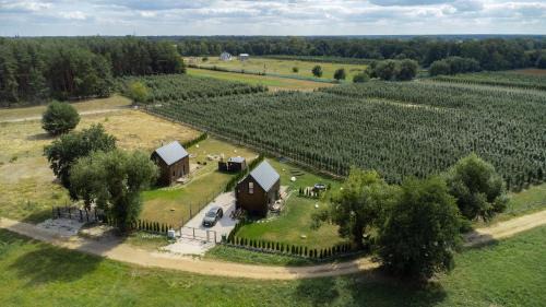 Warka Casa | Uroczysko Pilica