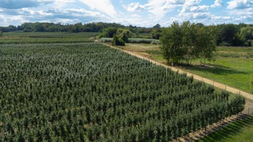 Warka Casa | Uroczysko Pilica