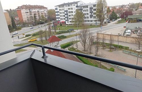 Petrovaradin Apartamento | Uros 17