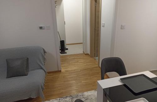 Petrovaradin Apartamento | Uros 17