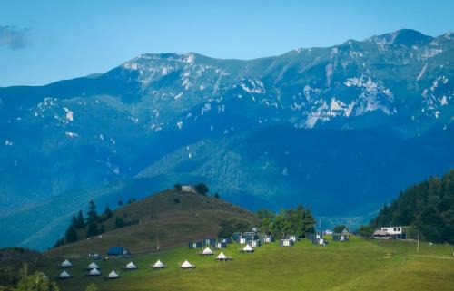 Sirnea Complejo | Ursa Mica Glamping Resort