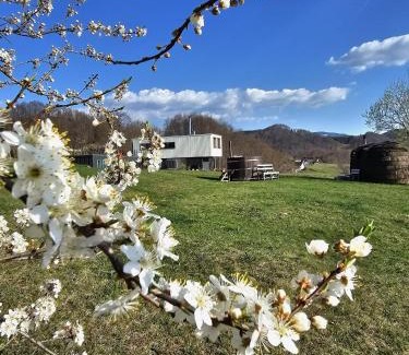 Sirnea Complejo | Ursa Mica Glamping Resort