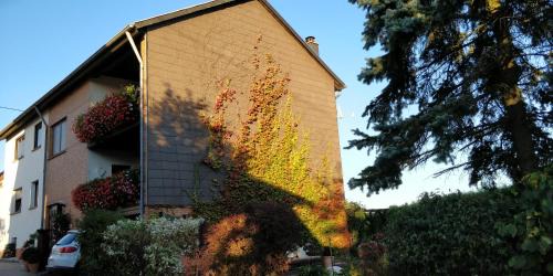 Urexweiler Apartamento | Ursula's Ferienwohnung