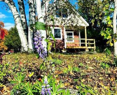 Portage Lake Casa | Magnificent Cabin Nestled Amidst Trees in Portage Lake, Maine