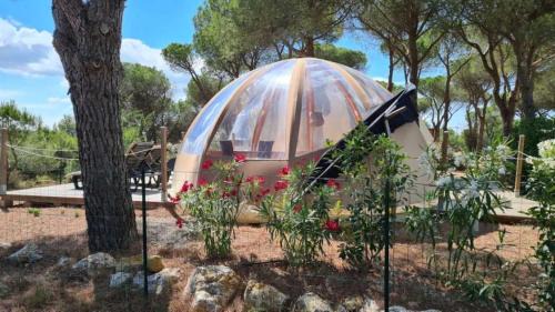 Bizanet Otro | Ushuaïa Villages Camping Figurotta