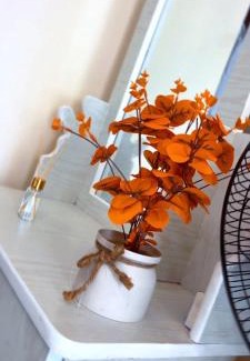 Namugongo Cama Y Desayuno | Utopia B&B Kampala Uganda
