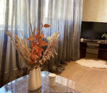 Haapsalu Apartamento | Uuemõisa apart