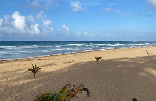Punta Cana Apartamento | Uvero Tropical Beach Rental #3