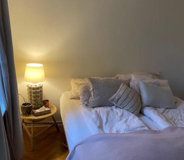 Odense Casa | Værelse udlejes i herskabslejlighed midt i Odense by