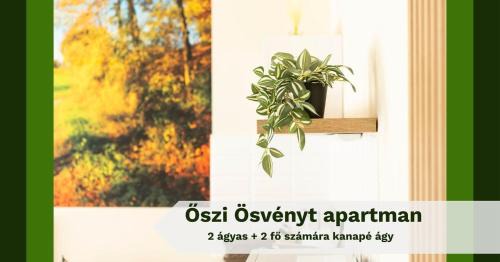 Aparhant Apartamento | Völgység Apartmanok