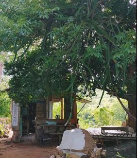 Ninh Hai Chalet De Esquí | vườn đá stone garden