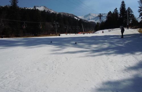 Laveissiere Apartamento | Vacances au pied des Monts du Cantal
