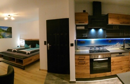Schulenberg im Oberharz Apartamento | Vacation apartment/apartment for 6 guests with 100m² in Schulenberg im Oberharz (265044)