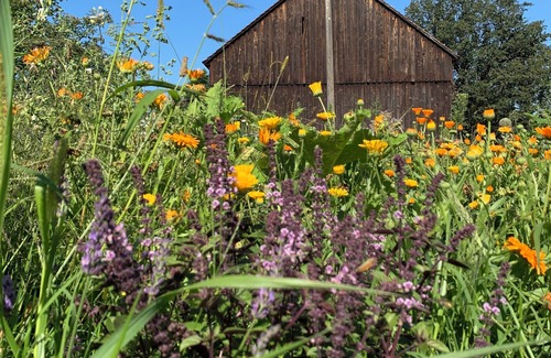 Vetschau/Spreewald Apartamento | Vacation apartment in a natural paradise