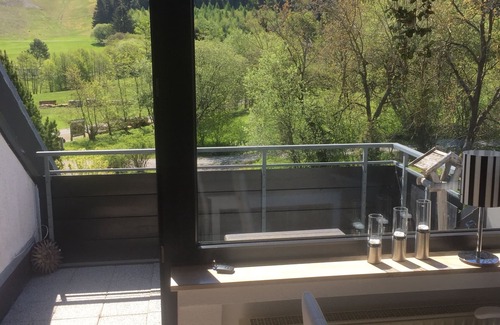 Usseln Condominio | Vacation apartment Schamei with infrared fireplace, in the middle of nature