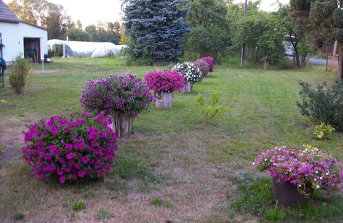 Burg Apartamento | Vacation apartment on the vegetable farm on the Spree - Holiday apartment
