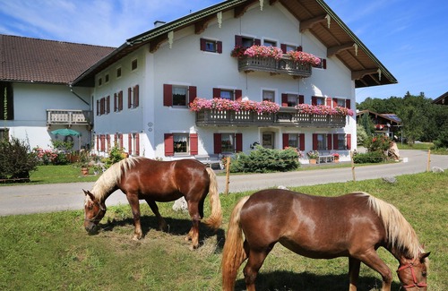Siegsdorf Apartamento | Apartamento 1