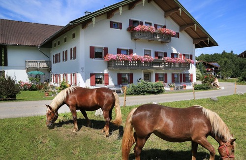 Siegsdorf Apartamento | Apartamento 2
