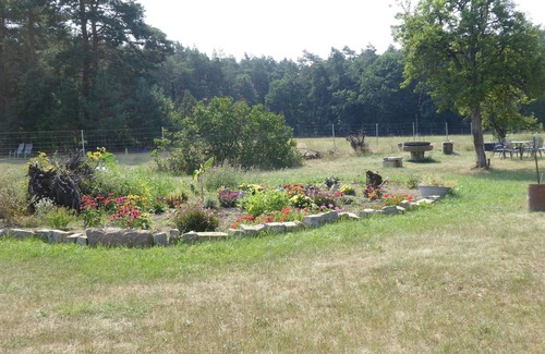Eggesin Apartamento | Vacation apartment/apartment for 3 guests with 45m² in Eggesin (247861)