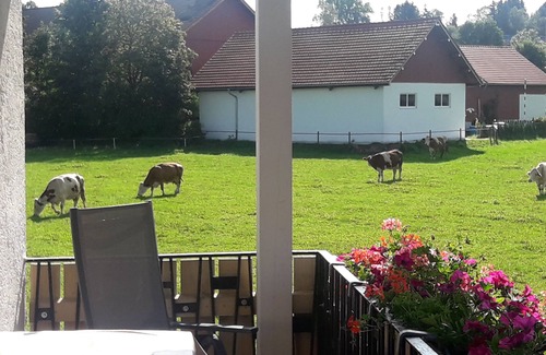 Peiting Apartamento | Multi-bed room for 3 guests with 35m² in Peiting (114737)