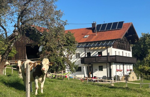 Surberg Apartamento | Vacation apartment at Leitnerhof