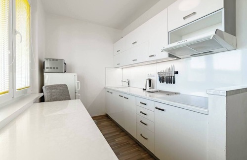 Kovarska Apartamento | Vacation apartment with a view of Klínovec in Kovářská in the Ore Mountains