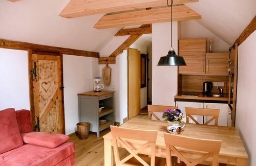 Brannenburg Apartamento | Apartamento de 40 metros cuadrados con dormitorio, sala de estar / dormitorio, cocina americana, baño / WC