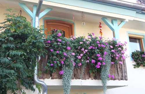 Herbolzheim Apartamento | Apartamento Rosenhof Broggingen, 56 qm, 1 dormitorio, máx. 4 personas