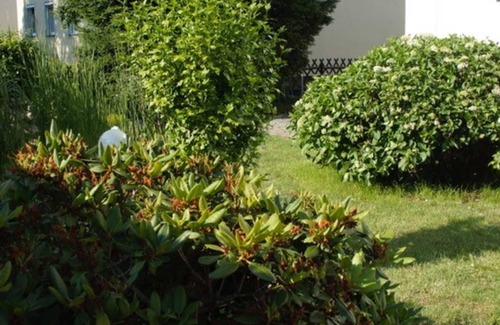 Senftenberg Apartamento | Vacation apartment Lausitz Sehn II - Holiday property Lausitz Sehn