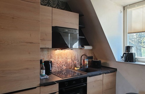 Senftenberg Casa | Vacation apartment - Seenlandoase Reppist