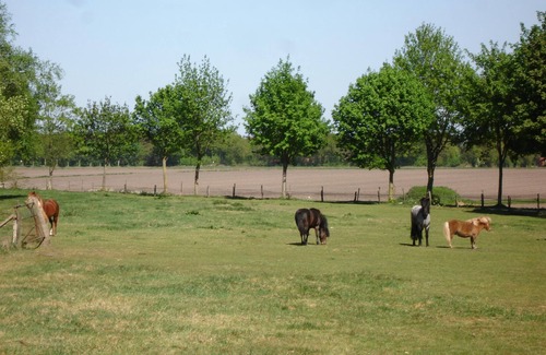 Brinkum Apartamento | Vacation apartment Im Brink 35144 - Vacation in the countryside - Hagedorn's Ponyhof 35143