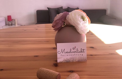 Issel Apartamento | Vacation apartment in love with the Moselle - Apartment, shower, toilet, 1 bedroom