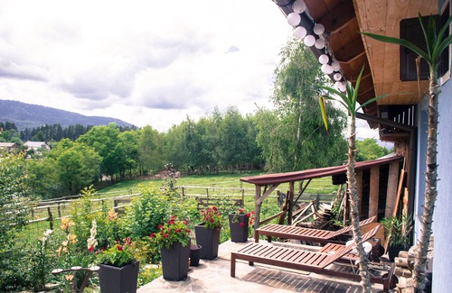 Viseu de Sus Casa | Vacation apartment on a farm
