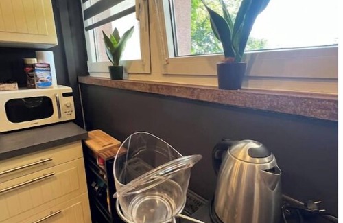 Neuenbuerg Apartamento | Vacation apartment with garden and terrace